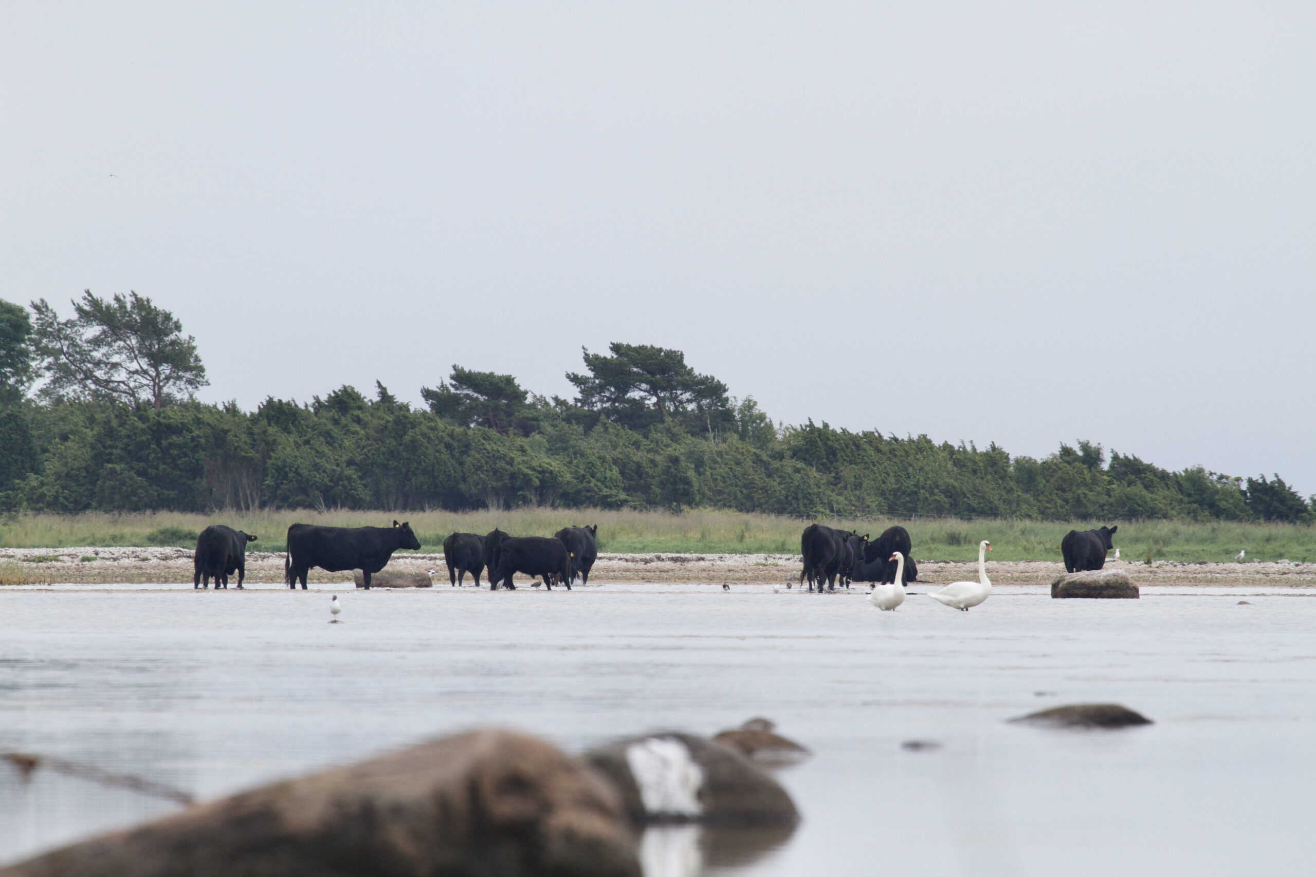 Noorte surfilaager Hiiumaal - Image 28