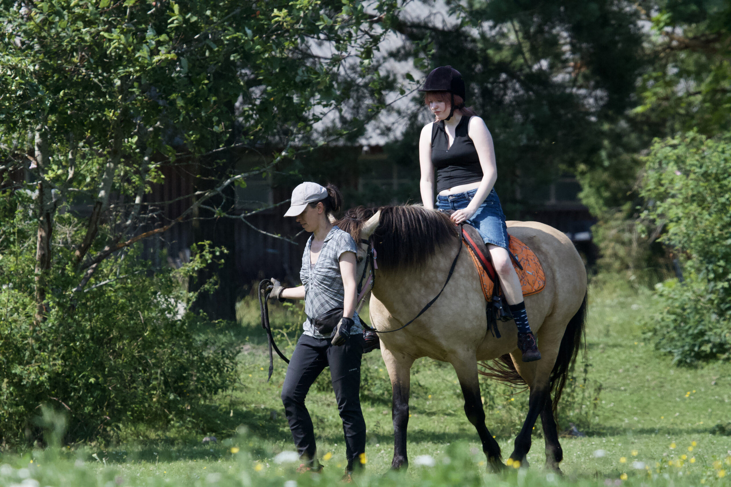 Noorte surfilaager Hiiumaal - Image 22